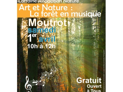 Art et nature, la forêt en musique